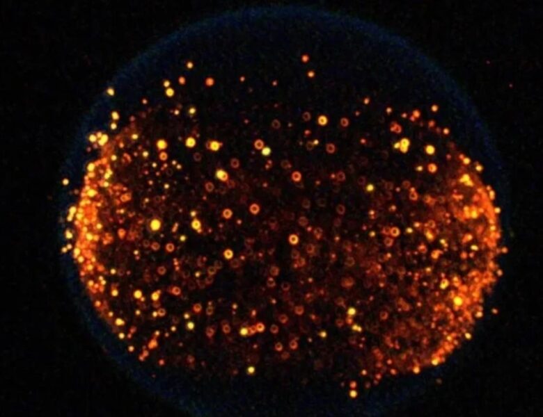 NASA вперше влаштує “пожежу” на Місяці