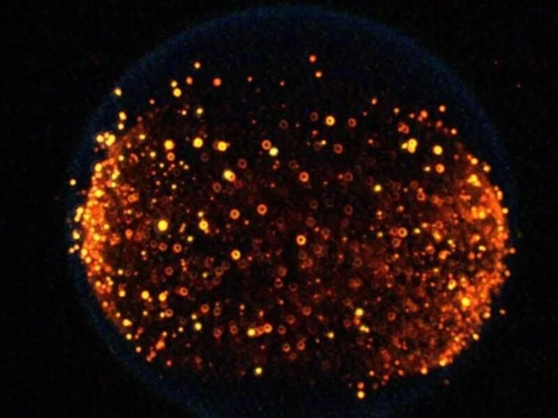 NASA вперше влаштує “пожежу” на Місяці