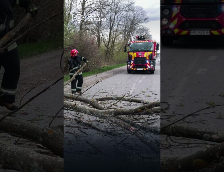 Через негоду в Україні загинули 2 людей