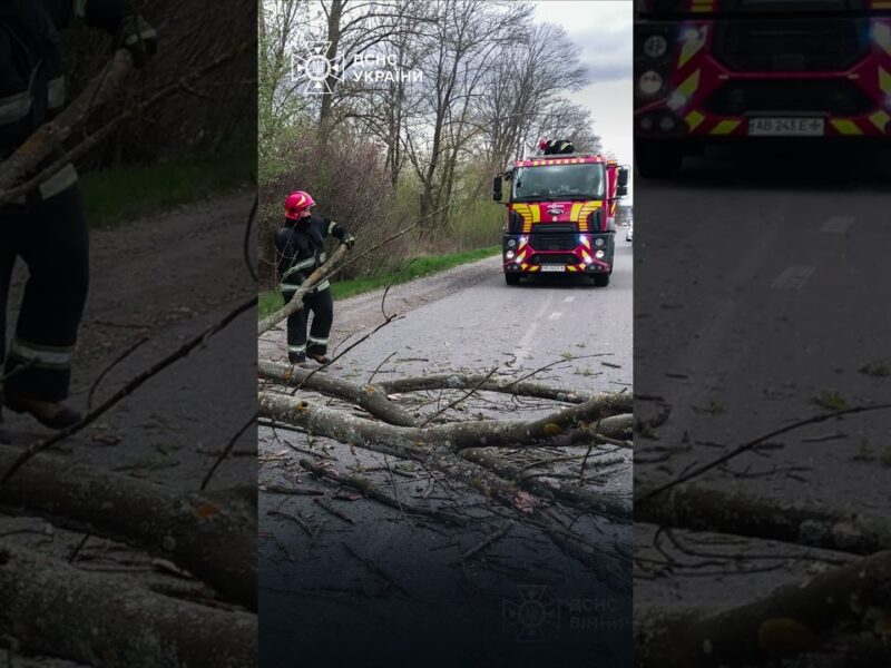Через негоду в Україні загинули 2 людей