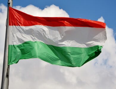 Опозиційна Тиса лідирує на виборах в Угорщині