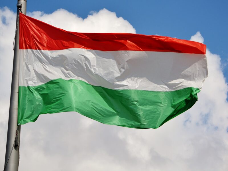 Опозиційна Тиса лідирує на виборах в Угорщині