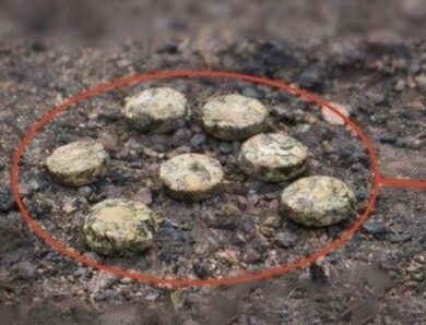 Росіяни дистанційно замінували школу у Херсоні