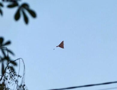 Російський дрон залетів на територію Румунії