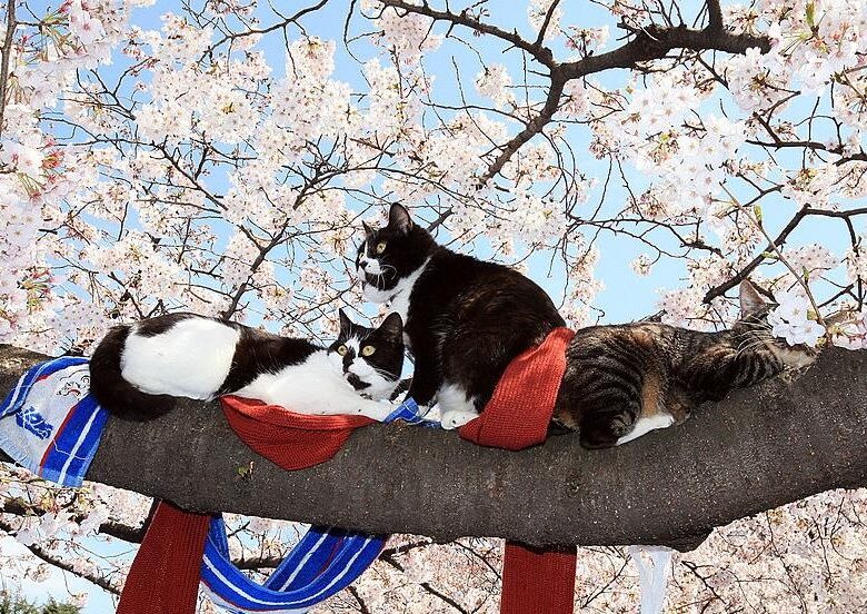 Синоптики повідомили, коли в Україну вернеться тепло