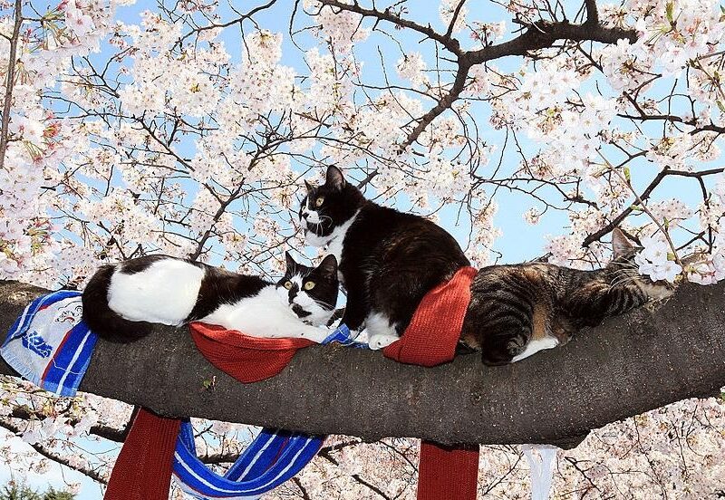 Синоптики повідомили, коли в Україну вернеться тепло