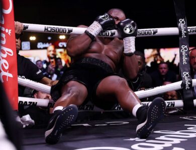 Стало відомо, чи покарають рефері бою Вайлдер – Чісора