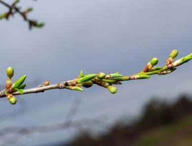 Стало відомо, якою буде погода у вихідні