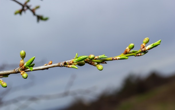Стало відомо, якою буде погода у вихідні
