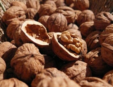 Суперфуд: схуднення й боротьба з Альцгеймером у жмені горіхів