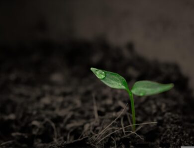 Суперкомп&rsquo;ютер NASA назвав приблизну дату кінця життя на Землі