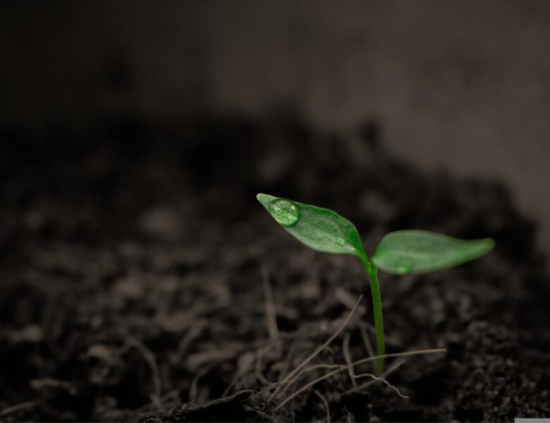 Суперкомп&rsquo;ютер NASA назвав приблизну дату кінця життя на Землі