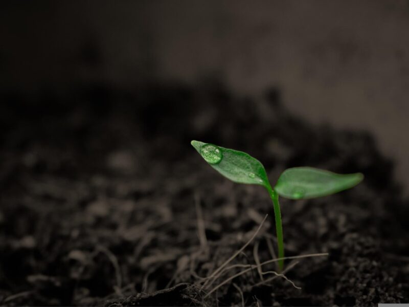 Суперкомп&rsquo;ютер NASA назвав приблизну дату кінця життя на Землі