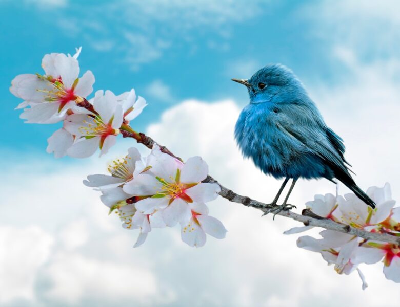 Свята 14 квітня 2026 року: дати, іменини, заборони