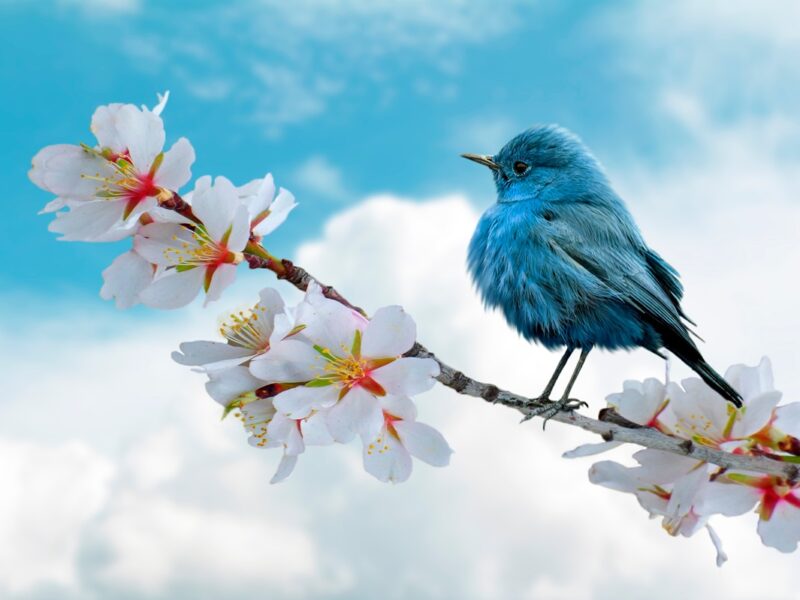 Свята 14 квітня 2026 року: дати, іменини, заборони