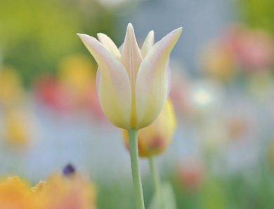 Свята 23 квітня 2026 року: що не можна робити в цей день