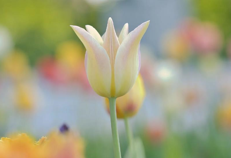 Свята 23 квітня 2026 року: що не можна робити в цей день