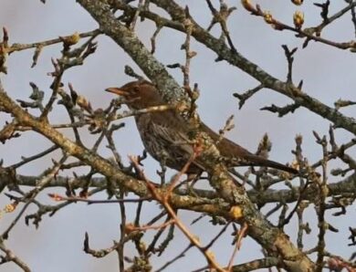 Свята 24 квітня 2026 року: іменини, традиції