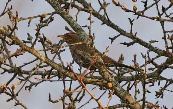 Свята 24 квітня 2026 року: іменини, традиції