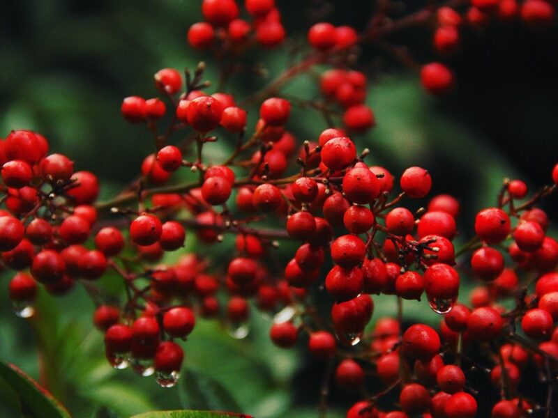 Свята 30 квітня 2026 року: що не можна робити в цей день