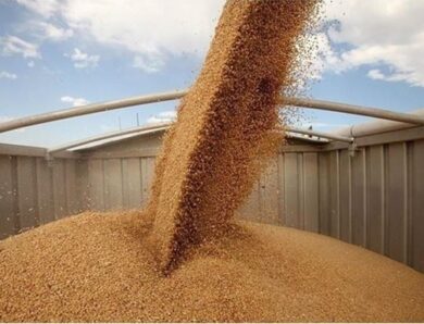 У березні експорт агропродукції у березні зріс на 10,8%