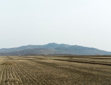 У КНДР оцінюють наслідки безпрецедентної посухи