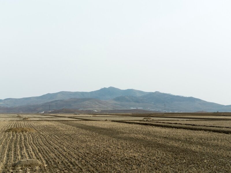 У КНДР оцінюють наслідки безпрецедентної посухи