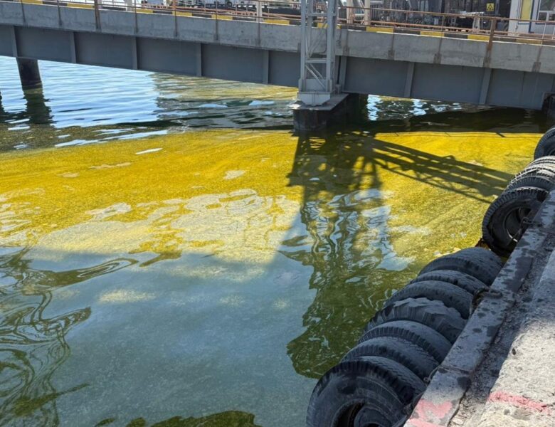 У порту Одещини в море потрапили тисячі тонн олії