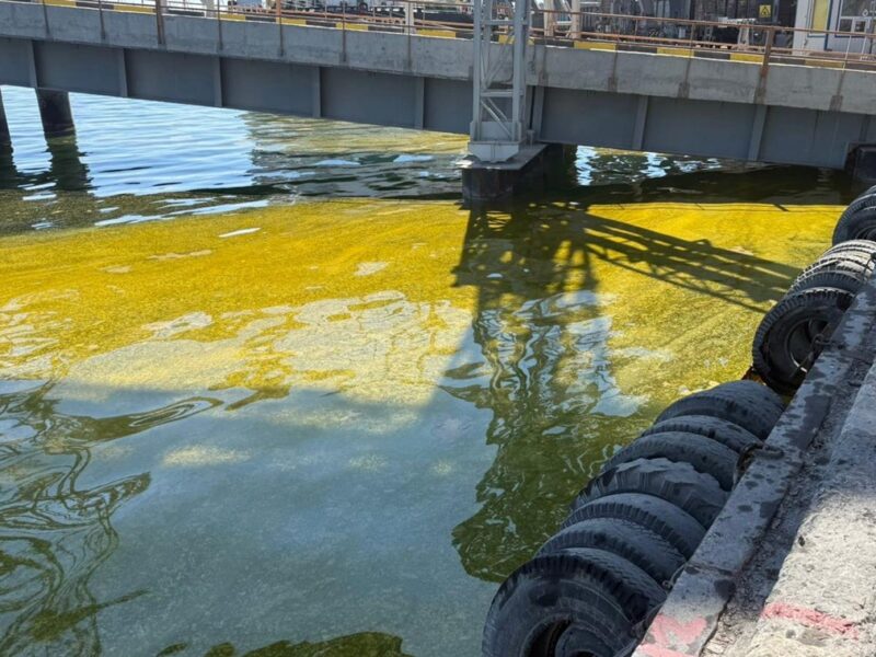 У порту Одещини в море потрапили тисячі тонн олії