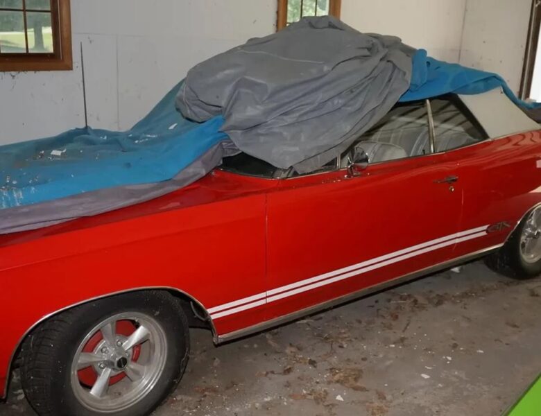 У США виявили секретну колекцію вінтажних спортивних авто