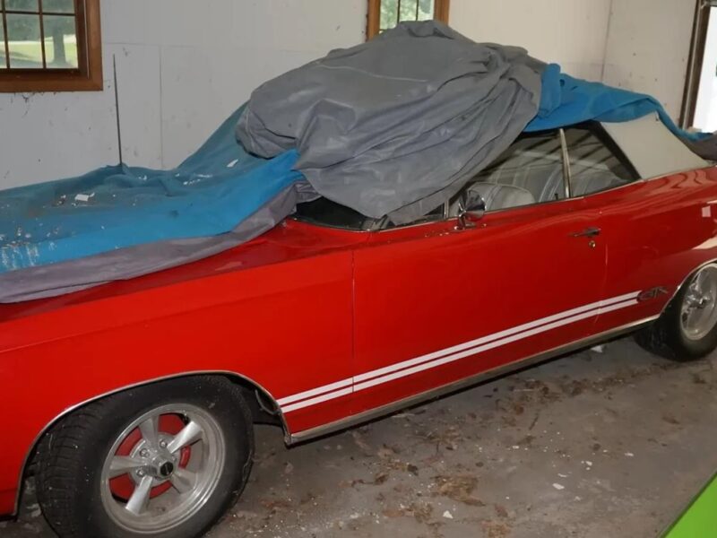 У США виявили секретну колекцію вінтажних спортивних авто