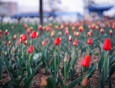 Українців попередили про різке похолодання