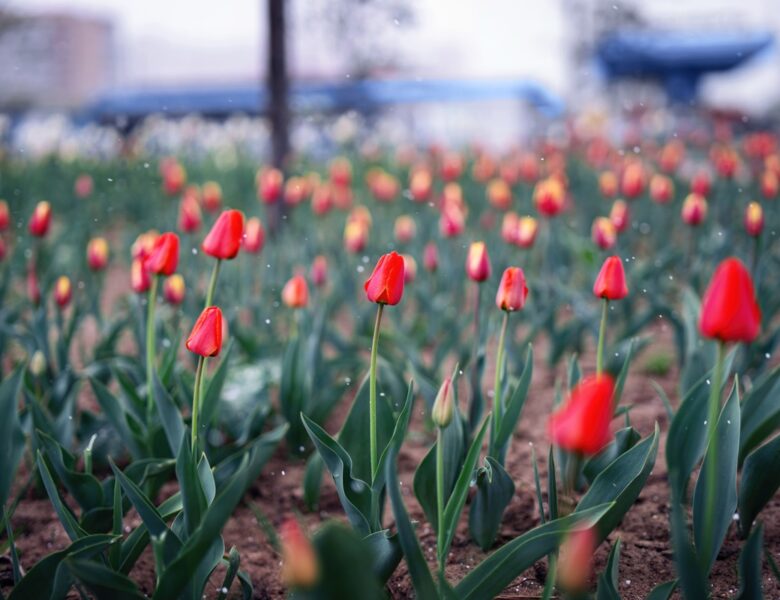 Українців попередили про різке похолодання