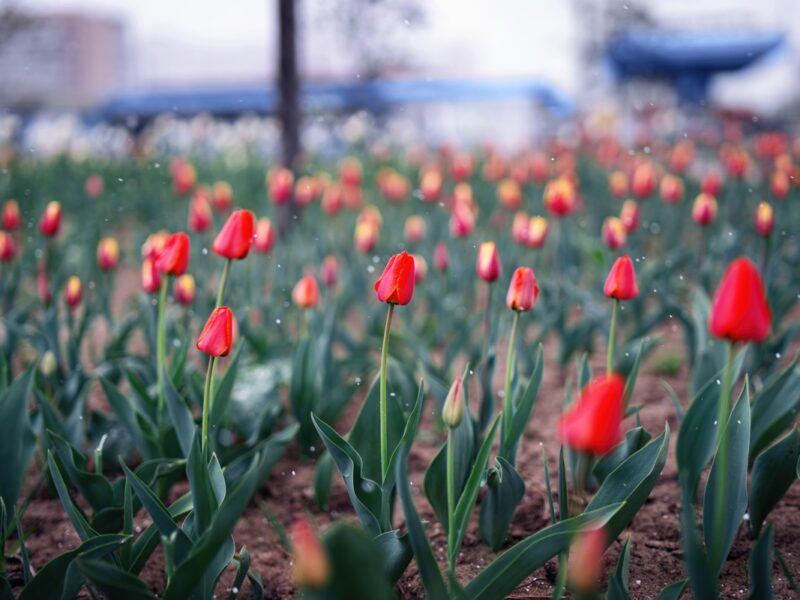 Українців попередили про різке похолодання