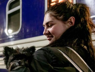 Укрзалізниця додала жіночі вагони у трьох поїздах