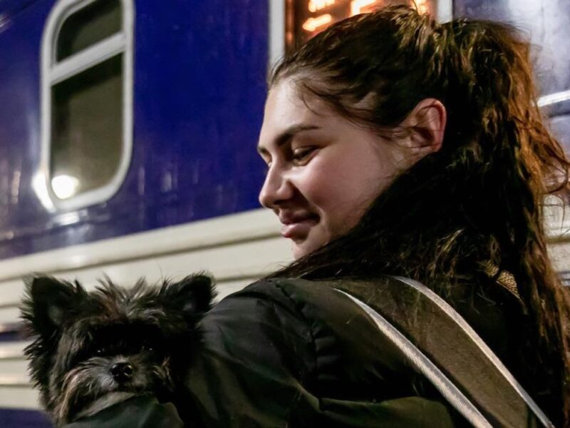 Укрзалізниця додала жіночі вагони у трьох поїздах