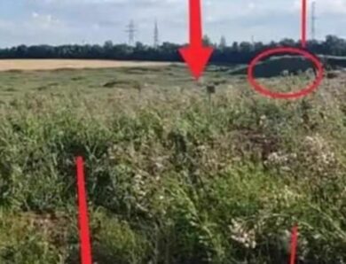 В Маріуполі знайшли приховане масове поховання