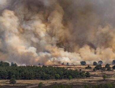 В Нідерландах розгорілася пожежа на військовому полігоні
