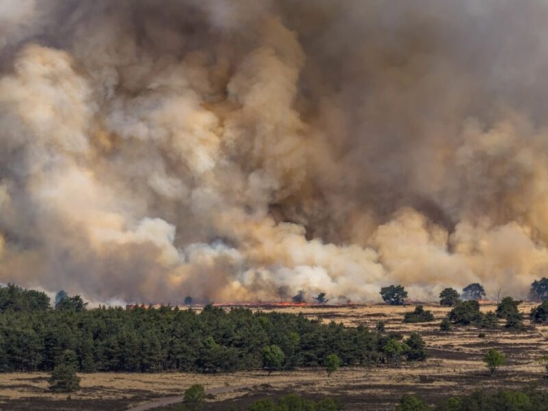 В Нідерландах розгорілася пожежа на військовому полігоні