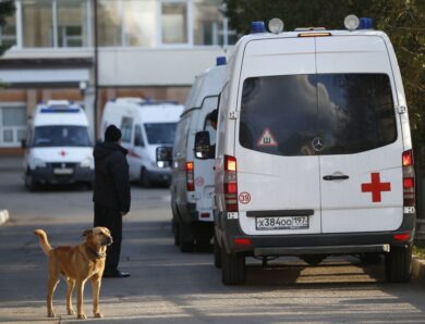 В Росії щонайменше у 16 регіонах фіксують осередки сказу – ЗМІ