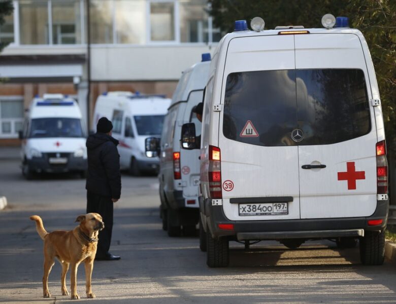 В Росії щонайменше у 16 регіонах фіксують осередки сказу – ЗМІ