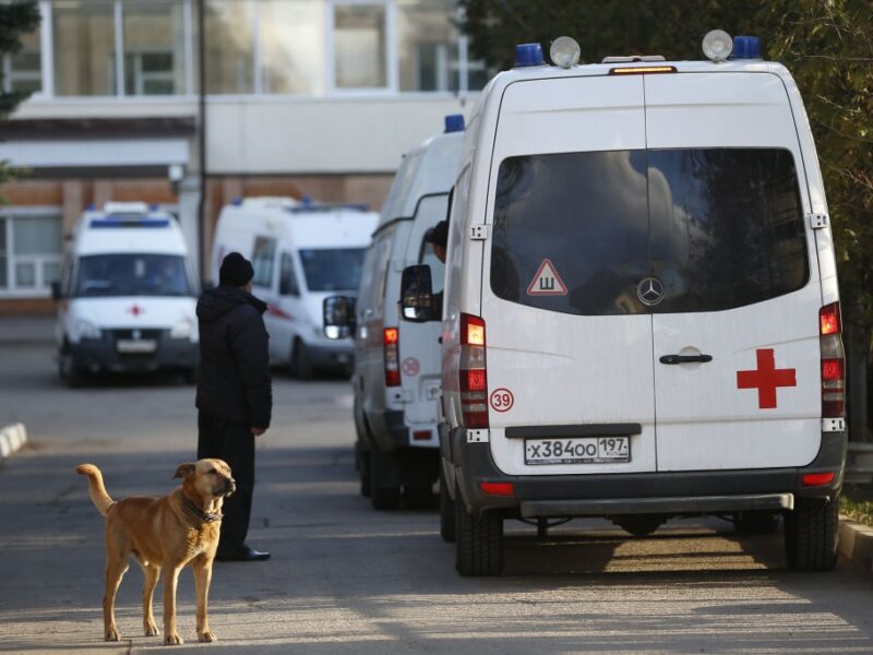 В Росії щонайменше у 16 регіонах фіксують осередки сказу – ЗМІ