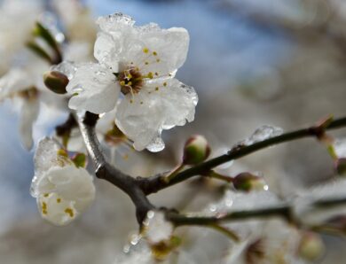 В Україні прогнозують подальше похолодання