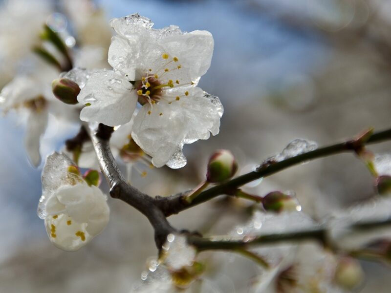 В Україні прогнозують подальше похолодання