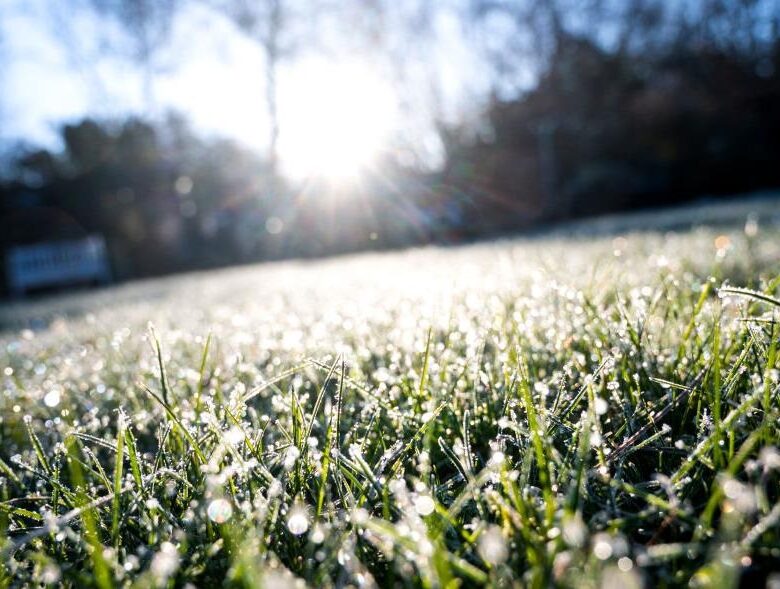 В Україну повертаються заморозки і мокрий сніг