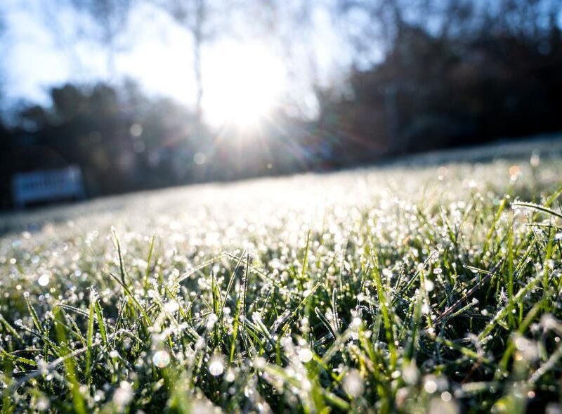 В Україну повертаються заморозки і мокрий сніг