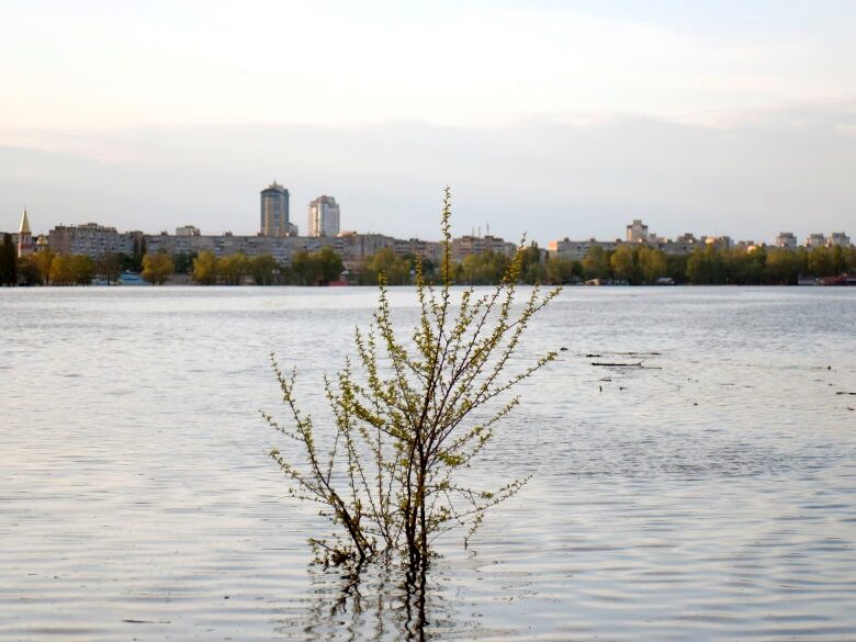 В Укренерго скасували відключення на понеділок
