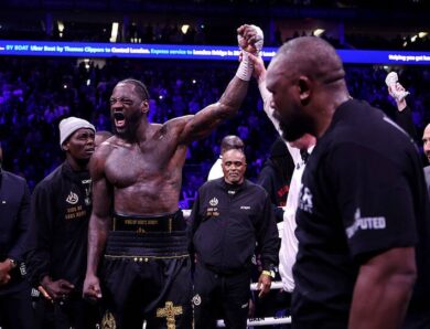 Вайлдер вирішив спровокувати Джошуа на бій