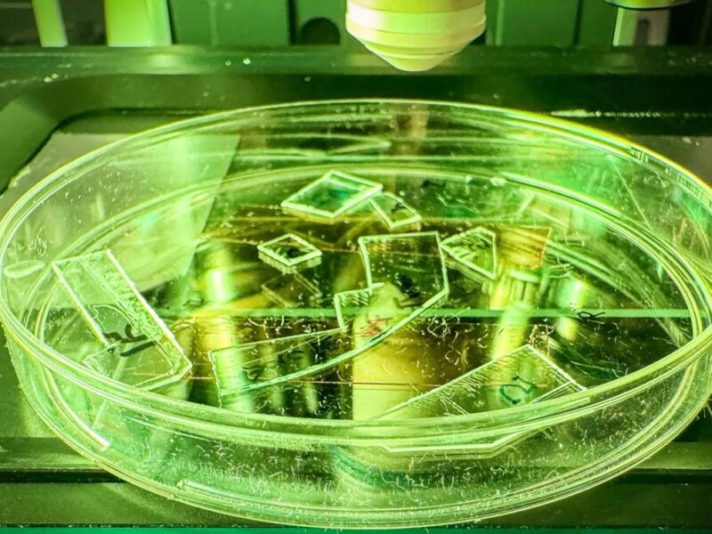 Вчені створили пластик, який знищує віруси при дотику