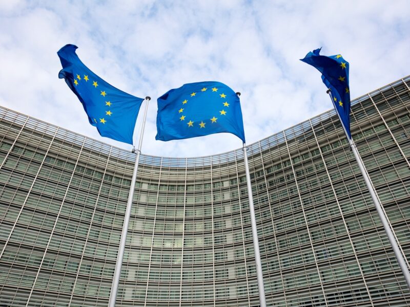 Викрадене Росією зерно України: Єврокомісія звернулася до МЗС Ізраїлю